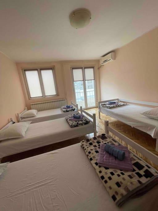 Bg Sunflower Apartment Belgrad Zewnętrze zdjęcie