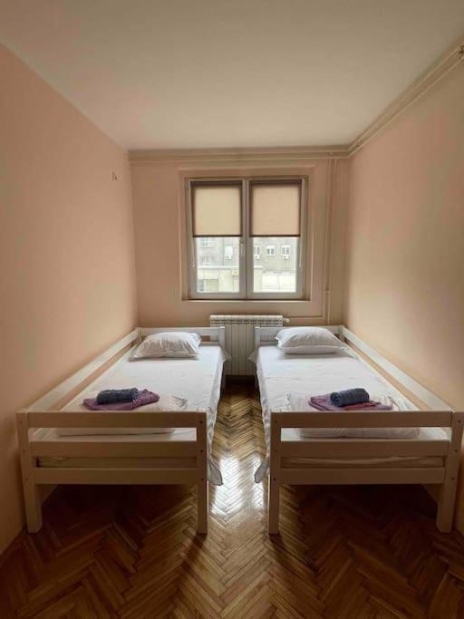Bg Sunflower Apartment Belgrad Zewnętrze zdjęcie