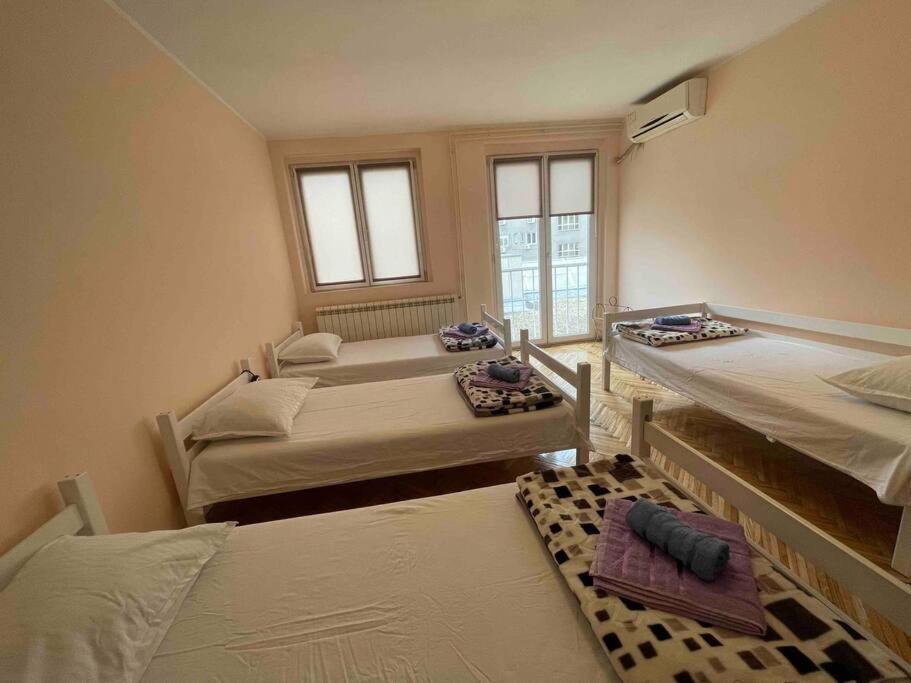 Bg Sunflower Apartment Belgrad Zewnętrze zdjęcie