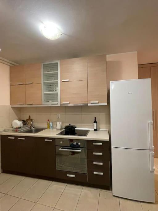 Bg Sunflower Apartment Belgrad Zewnętrze zdjęcie
